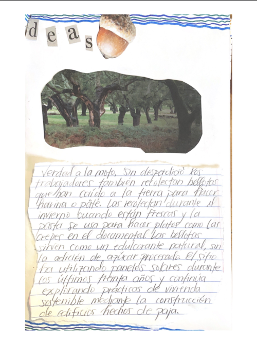 Ecoaldeas continued.